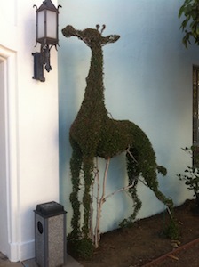 Topiary at Fox Studios - Click to enlarge Topiary at Fox Studios