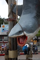 16 - (theStudioTour.com - September 2007) - click to enlarge Jaws the Ride - 16 - (theStudioTour.com - September 2007)