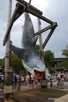 7 - (theStudioTour.com - September 2007) - click to enlarge Jaws the Ride - 7 - (theStudioTour.com - September 2007)