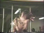 Werewolf under construction - Click to enlarge Werewolf under construction