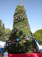 Christmas tree on the Upper Lot - 2009 Christmas tree on the Upper Lot - 2009