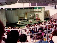 The Animal Actors Stage, June 1982 (photo by Judy and Frank)