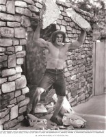 4 - The Incredible Hulk press photo - 1979 (courtesy of Dickens Archive) - click to enlarge Land of a Thousand Faces - 4 - The Incredible Hulk press photo - 1979 (courtesy of Dickens Archive)