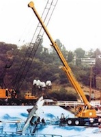401 - Newly constructed Falls Lake tank preparing Bruce the shark for his role in Jaws the Revenge (1986). - click to enlarge 401 - Newly constructed Falls Lake tank preparing Bruce the shark for his role in Jaws the Revenge (1986).