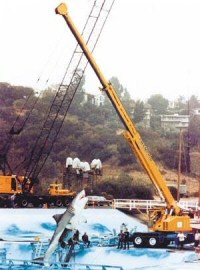 Newly constructed Falls Lake tank preparing Bruce the shark for his role in Jaws the Revenge. 