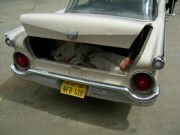 The car licence plate is the one seen in the movie - NFB are the initials of Norman Francis Bates... (2006)