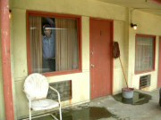 Norman's checking for new arrivals (2006)