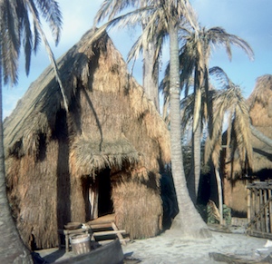 Grass Huts, seen in 1973 (photo by Bill Cotter) Grass Huts, seen in 1973 (photo by Bill Cotter)