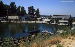 Shark Maintenance in 1977, courtesy Scott Weller