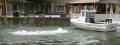 To die so close to his boat... what a shame (April 2006)