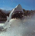 Jaws #2 (from Inside Universal Studios, 1979) Jaws #2 (from Inside Universal Studios, 1979)
