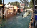 His work done, Jaws settles back into his underwater lair (September 2006) His work done, Jaws settles back into his underwater lair (September 2006)