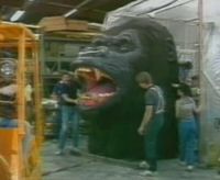 King Kong Head