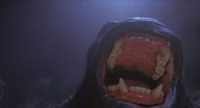 Rarely seen detail of Kong's upper jaw (still from The Wizard DVD)