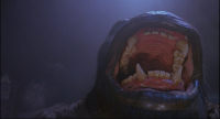 Rarely seen detail of Kong's upper jaw (still from The Wizard DVD)