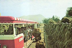 Glamortram bombarded by boulders (source unknown) - click to enlarge Glamortram bombarded by boulders (source unknown)