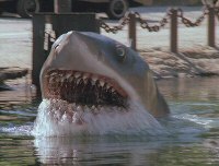 Jaws attack 2