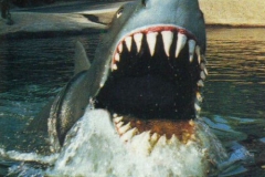 jaws15
