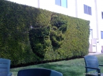 topiary4