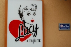 USH_Lucy_A_Tribute_1