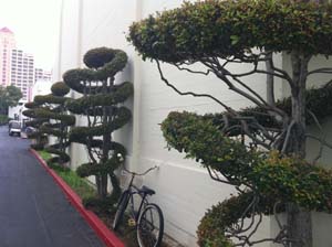 Topiary at Fox Studios (September 2010)