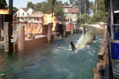 jaws25