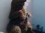 topiary5