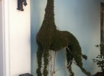 topiary8