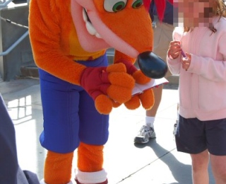 crash1
