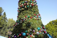 Christmas tree on the Upper Lot - 2009