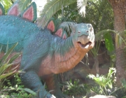 stegosaurus1