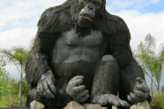 kingkongphotoopp1