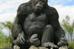 kingkongphotoopp1
