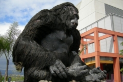 kingkongphotoopp2