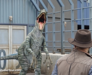 Raptor Encounter - theStudioTour.com