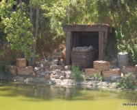 2010_3