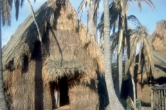 gorillahut