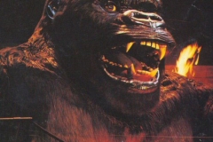 1990_kong1