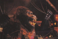 1990_kong2